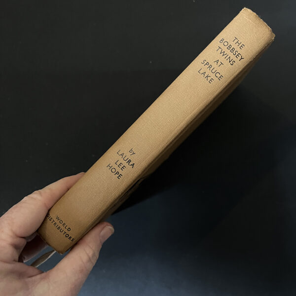 BOBBSEY TWINS 1969 - Image 2