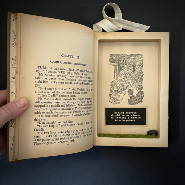 BOBBSEY TWINS 1969 - Image 4