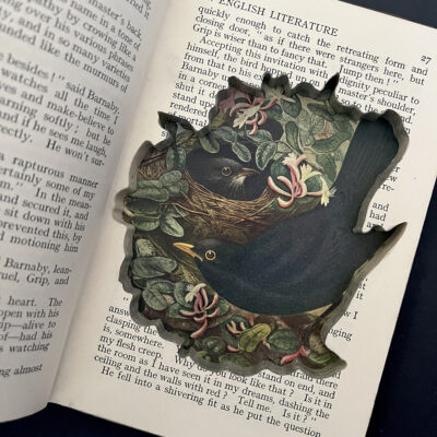 BIRDS & BEASTS 1926