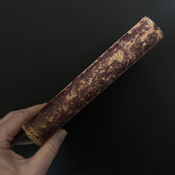 ROMANTIC 1889 - Image 2