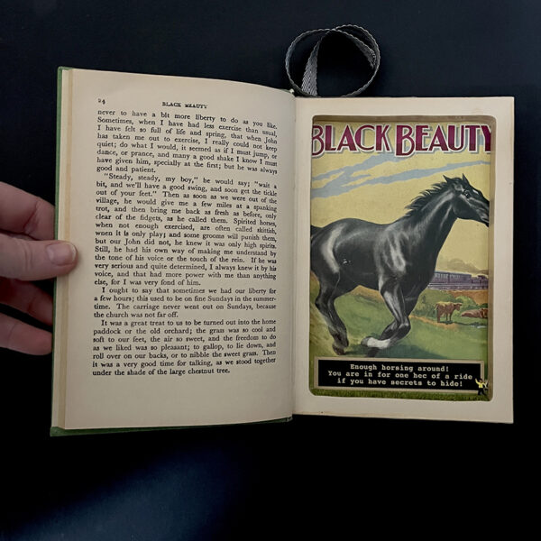 BLACK BEAUTY - Image 5
