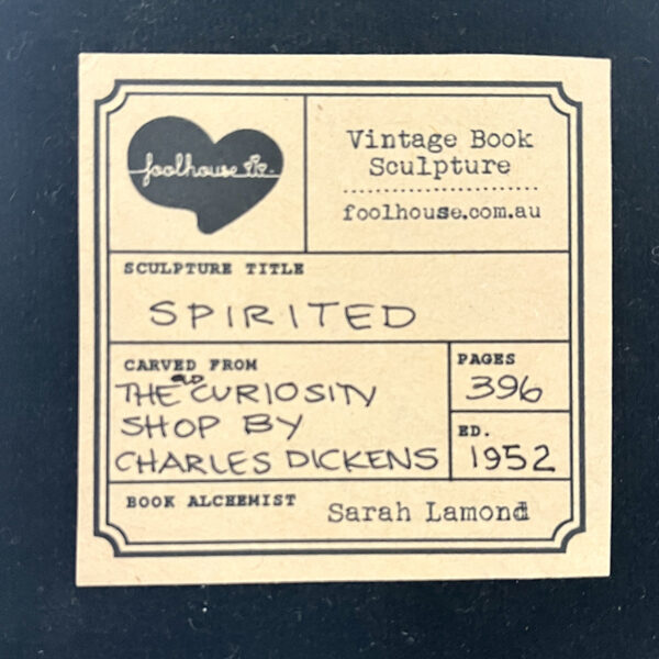 SPIRITED - Image 5