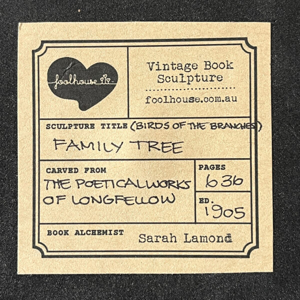 FAMILY TREE (I) - Image 4