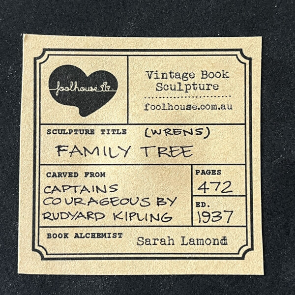 FAMILY TREE (II) - Image 4