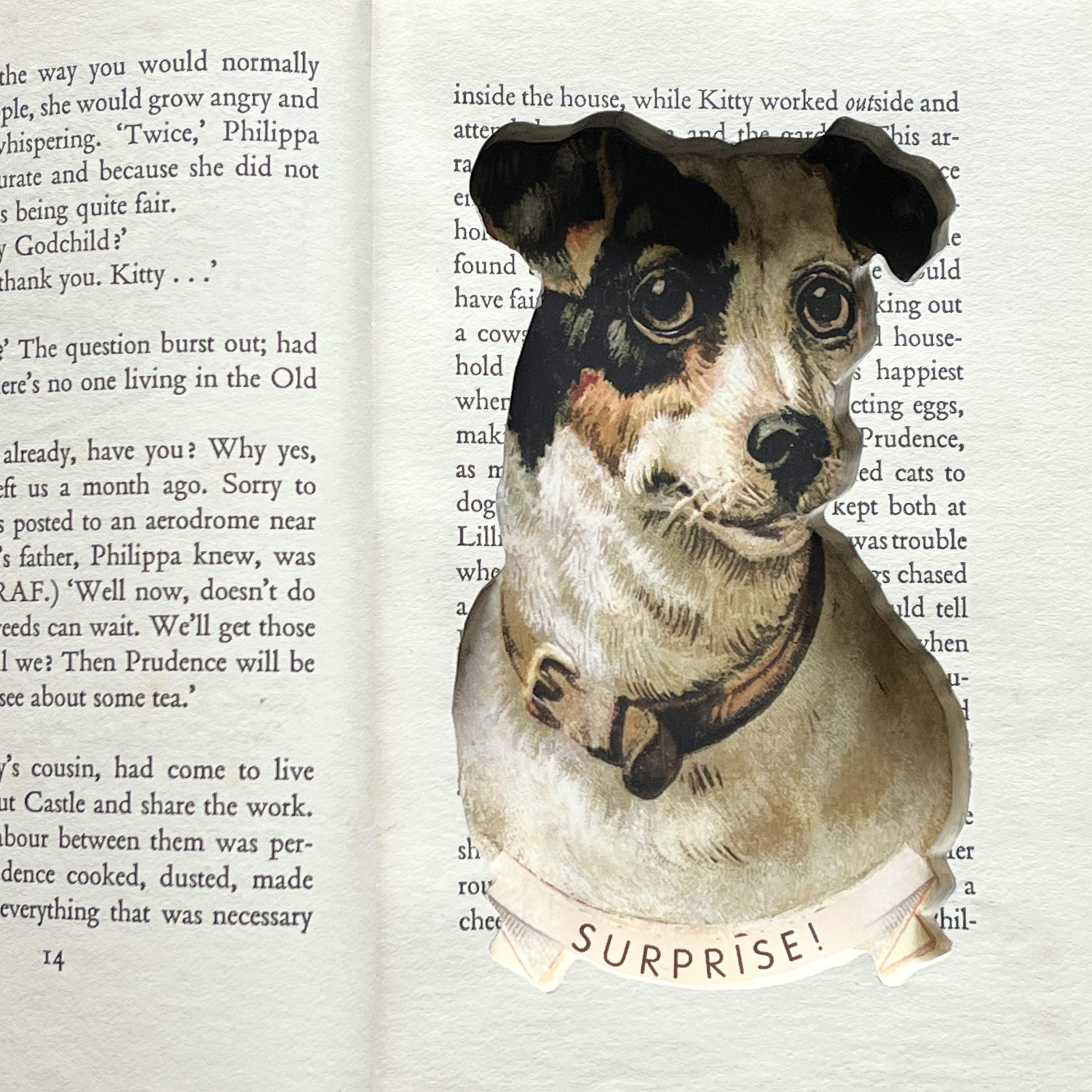 FOXY BOY 1958 - Image 5