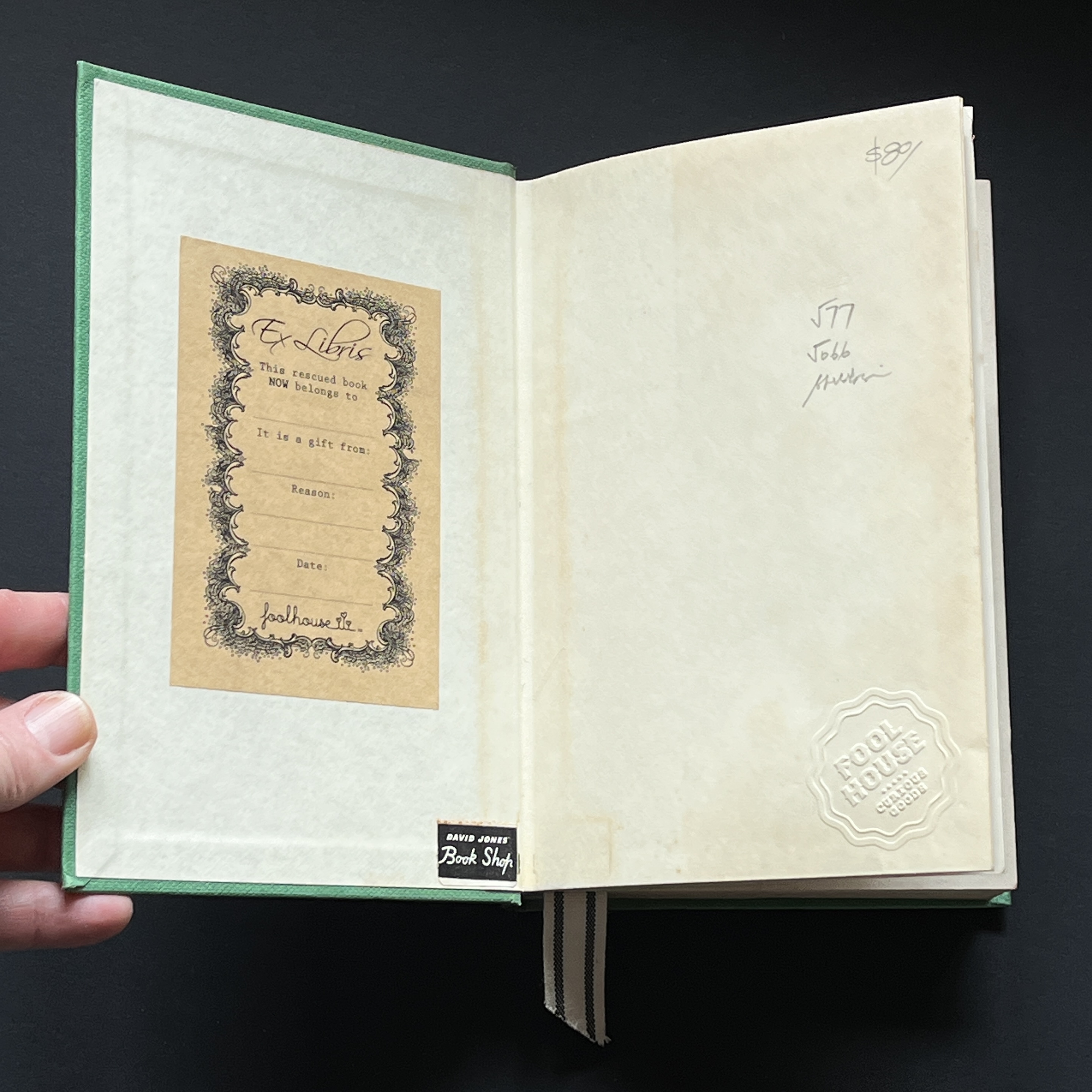 KITTENS 1966 - Image 4