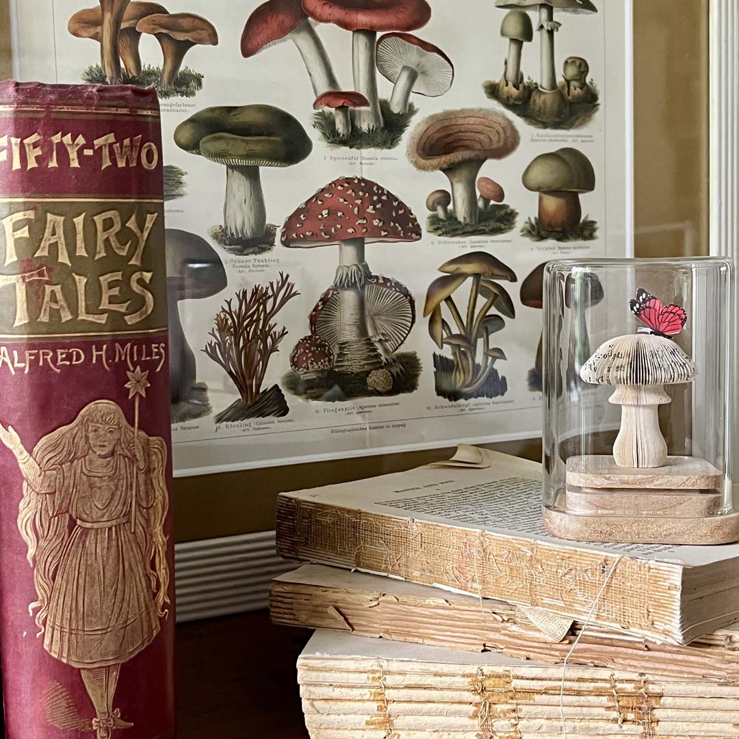 MAGIC MUSHROOM - RED MINI