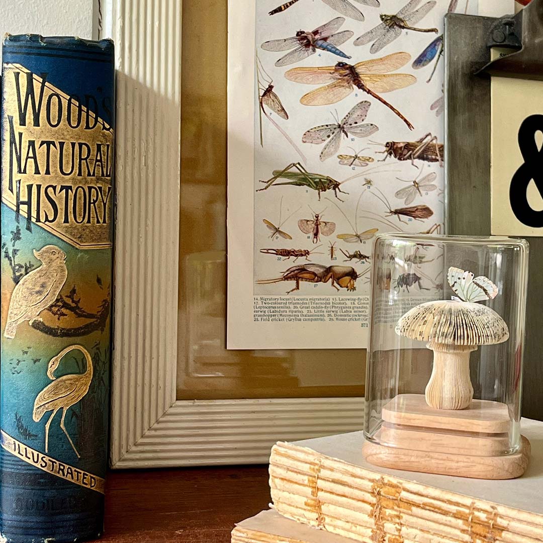 MAGIC MUSHROOM - BLUE MINI - Image 3