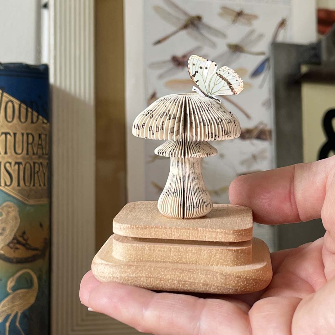 MAGIC MUSHROOM - BLUE MINI - Image 5