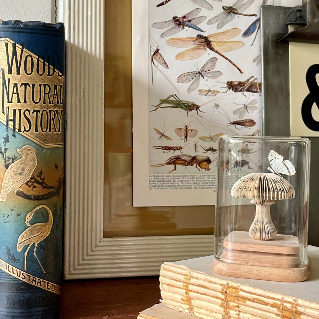 MAGIC MUSHROOM - BLUE MINI - Image 6