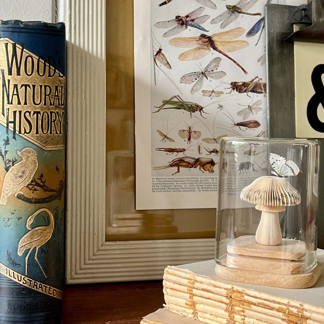 MAGIC MUSHROOM - BLUE MINI - Image 8