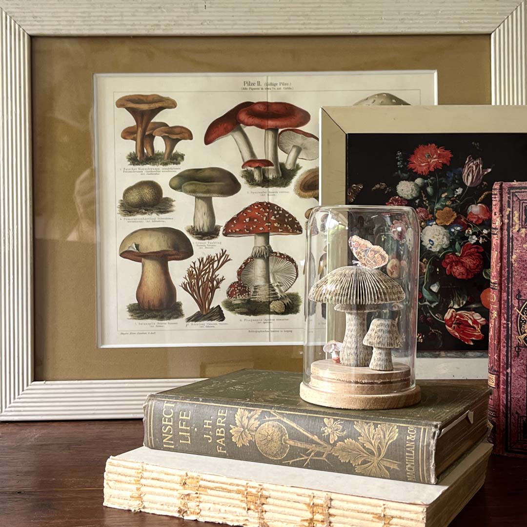 MAGIC MUSHROOMS - NATURAL