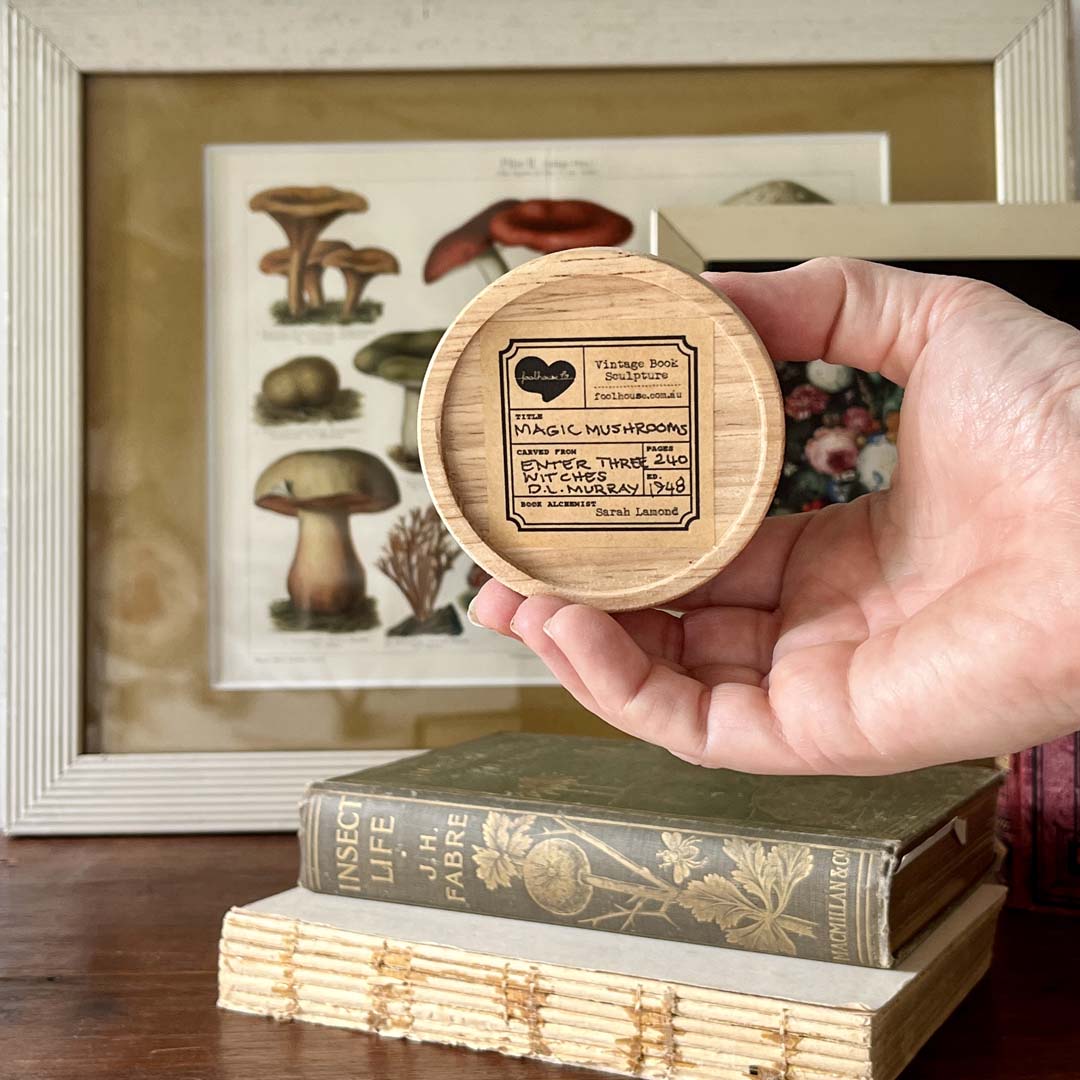 MAGIC MUSHROOMS - NATURAL - Image 2