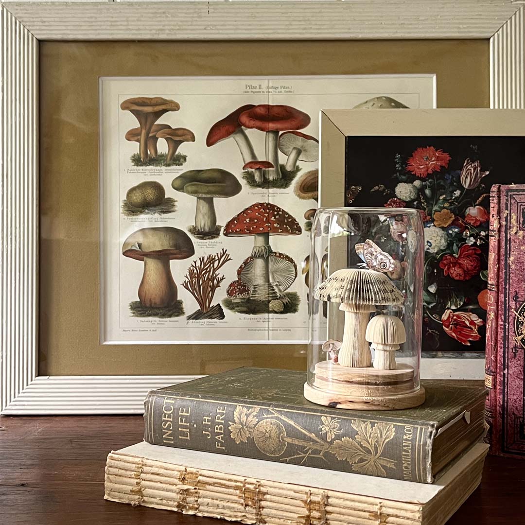 MAGIC MUSHROOMS - NATURAL