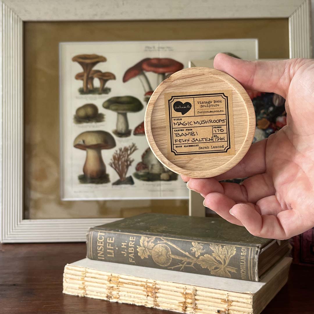 MAGIC MUSHROOMS - NATURAL - Image 4