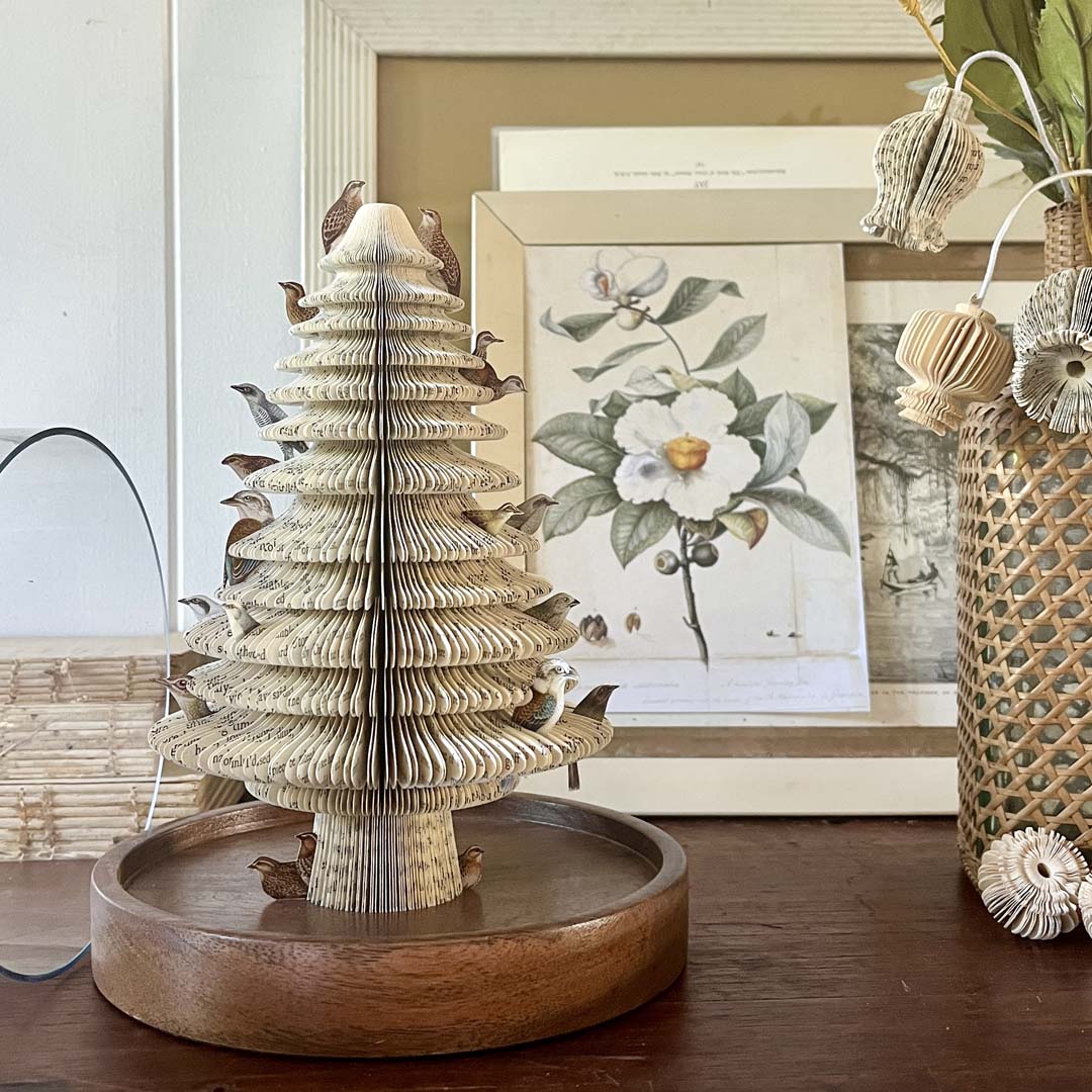 FAMILY TREE 1904 - Image 2