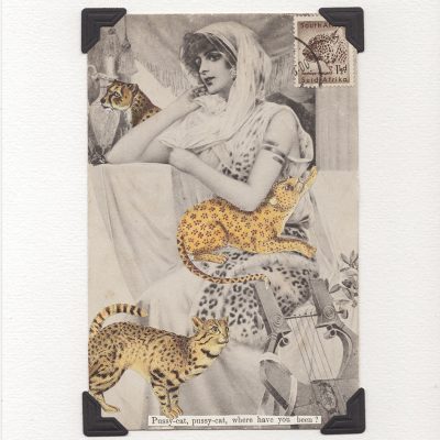 PUSSY CAT
