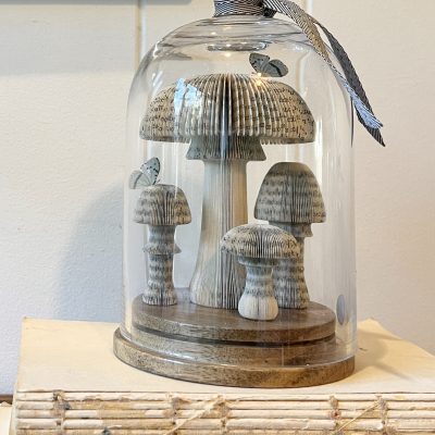 MAGIC MUSHROOMS (II)