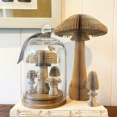 MAGIC MUSHROOMS (III)