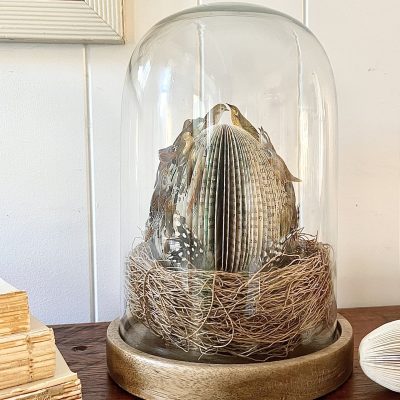 NEST EGG