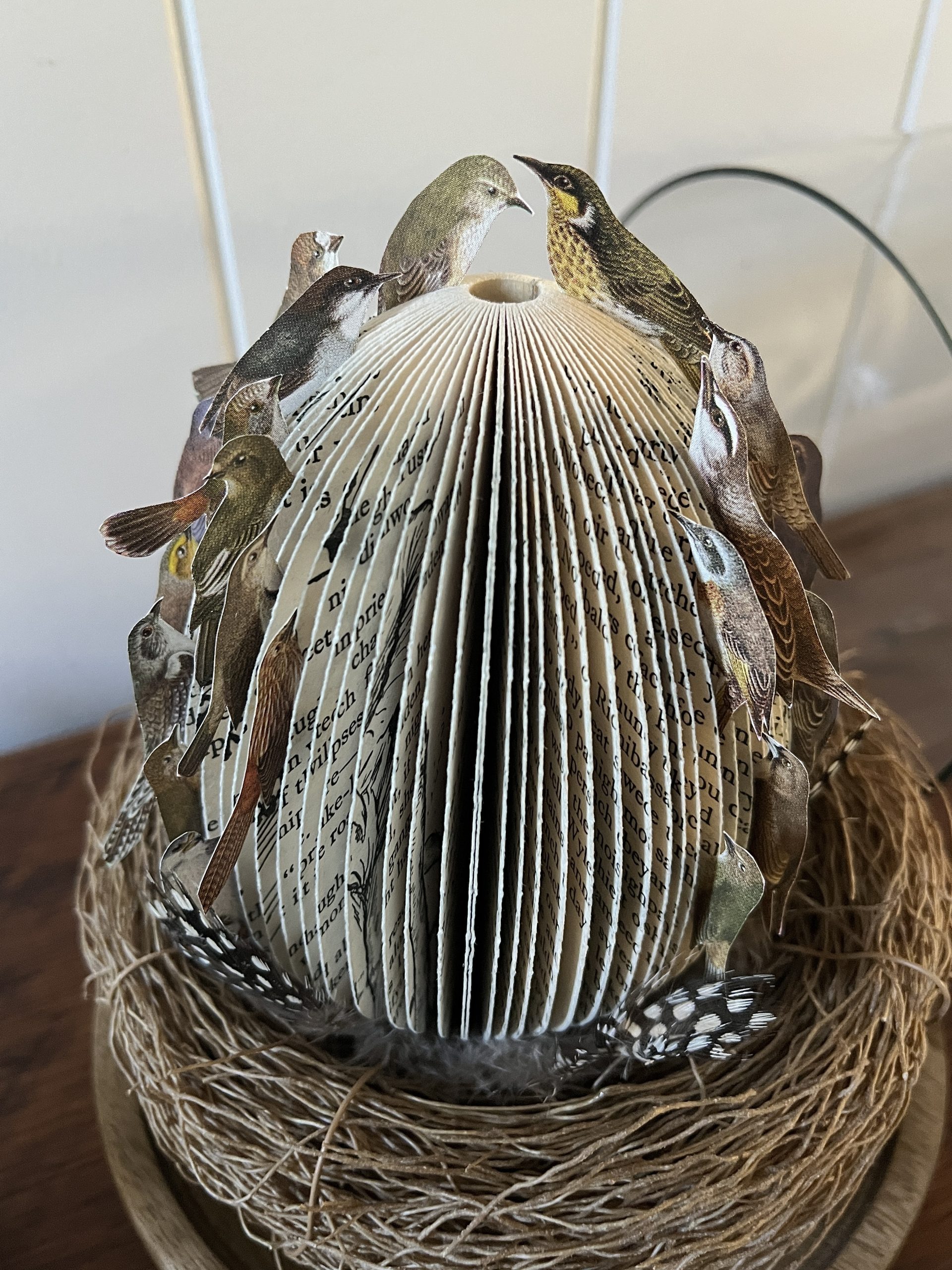 NEST EGG - Image 3
