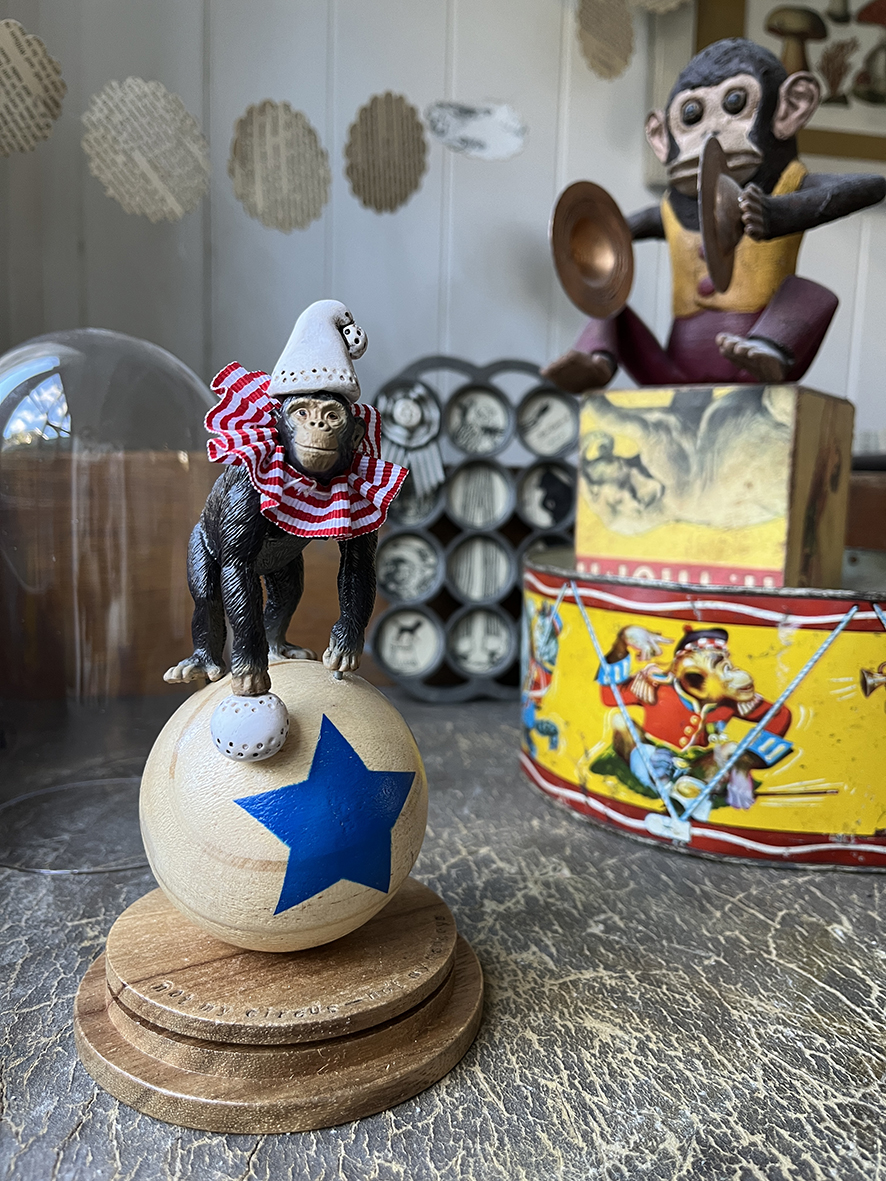 NOT MY MONKEY (xii) - Image 2