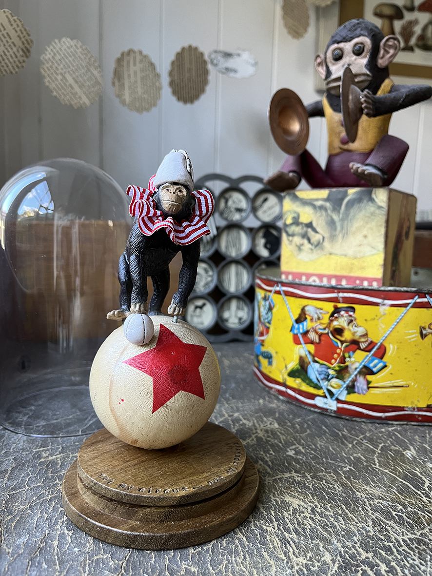 NOT MY MONKEY (vii) - Image 2