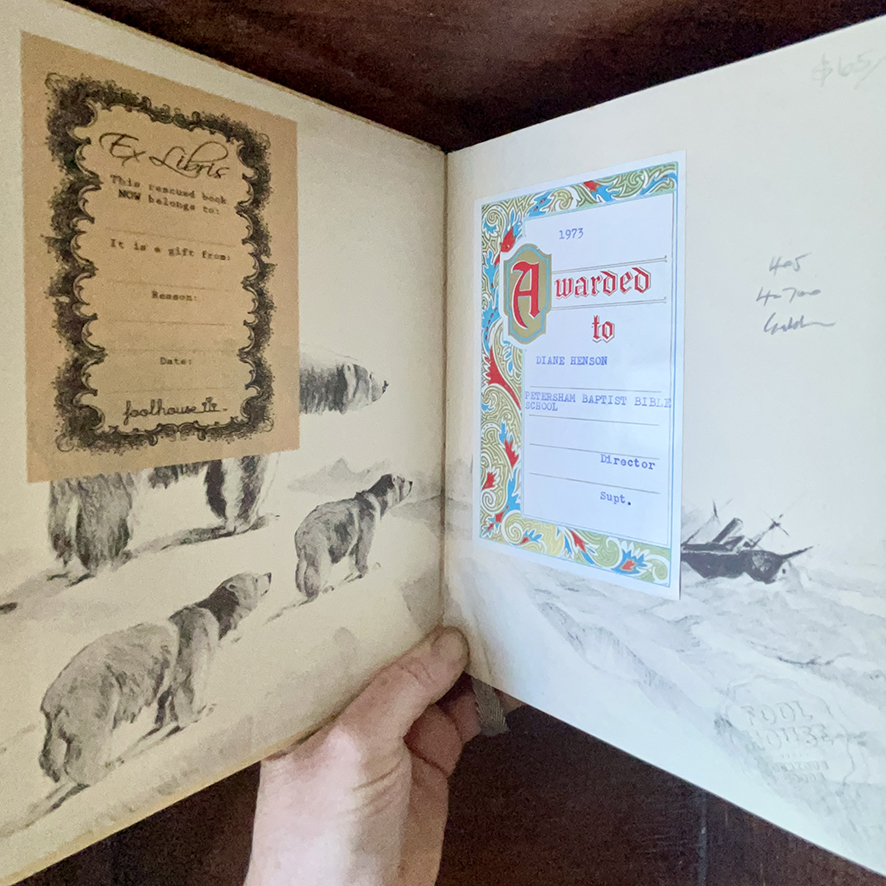 POLAR BEAR 1960 - Image 4