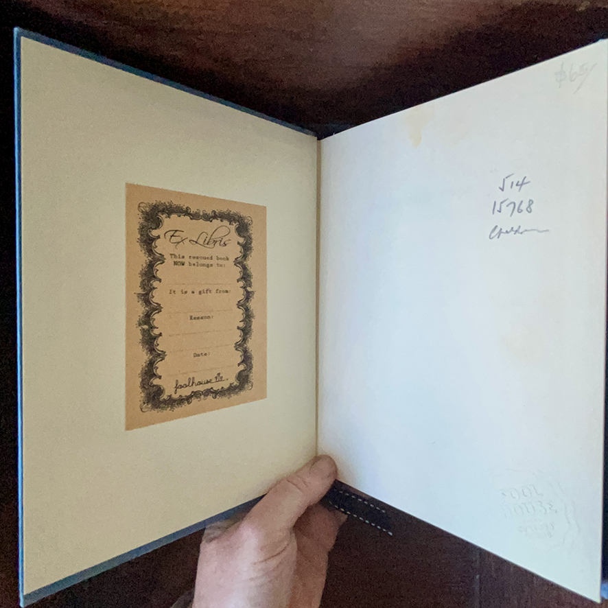 MY DEAR 1963 - Image 3