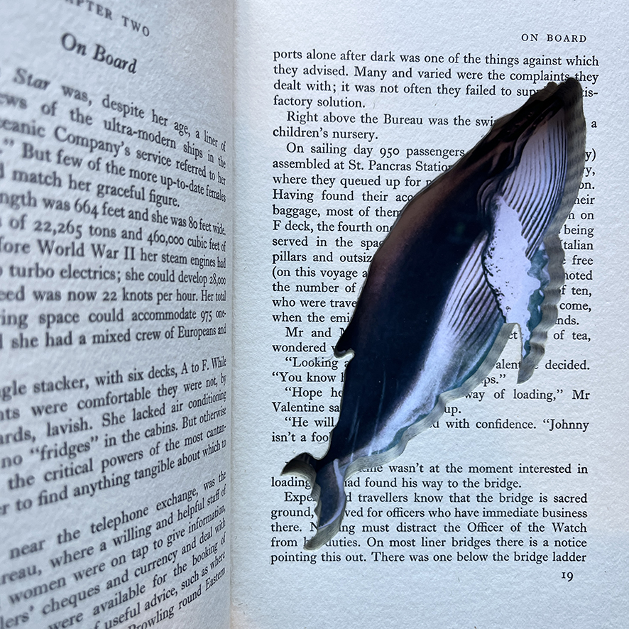 HUMPBACK I