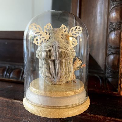 GEORGE'S ACORN