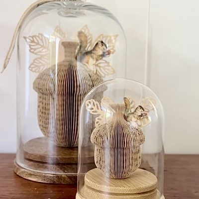 SHELLY'S SQUIRRELS